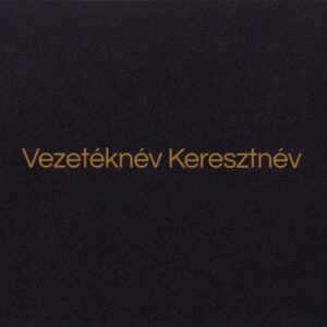 Plasztik NFC Okos névjegykártya a CardInMove